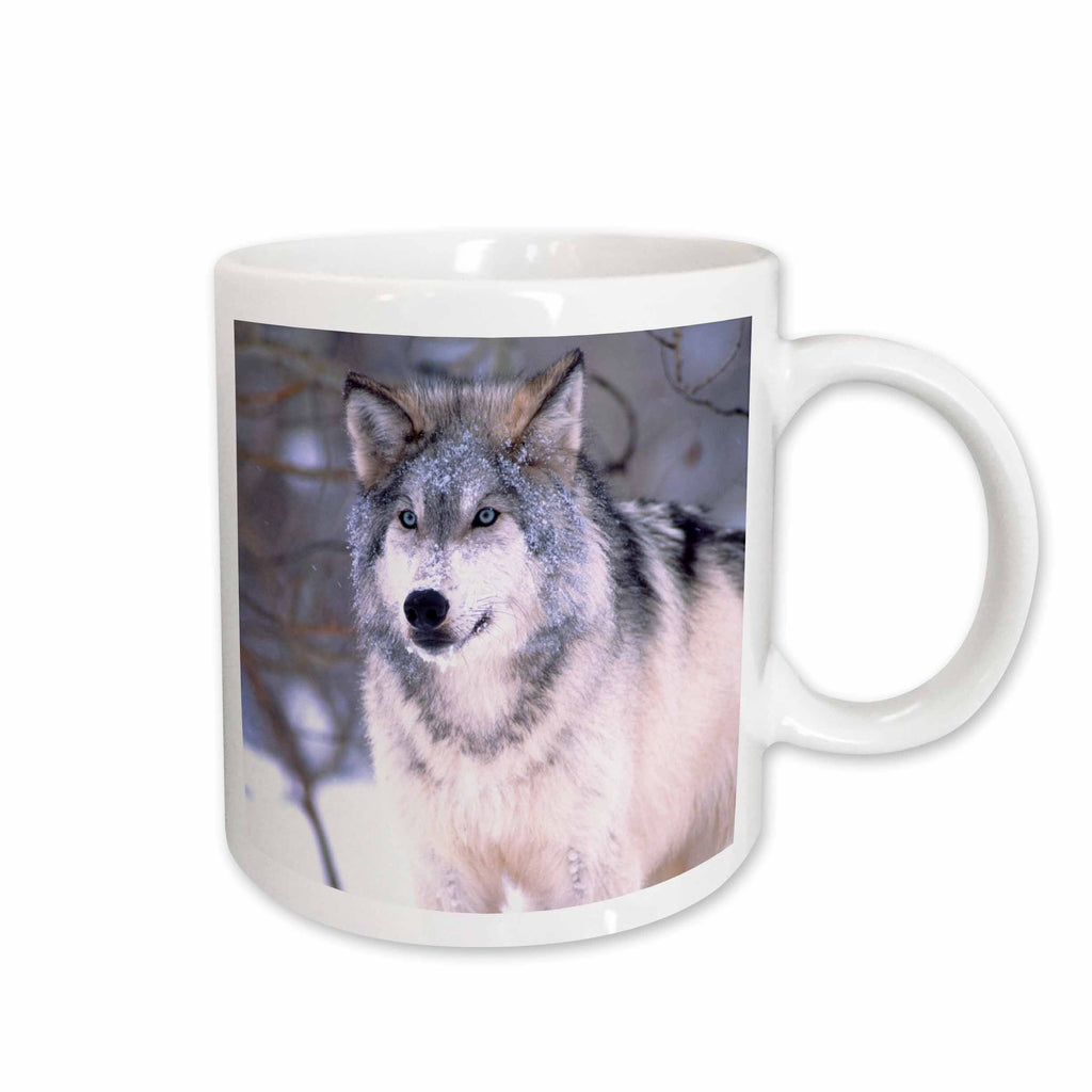 3dRose Timber Wolf, Canis Lupus - NA02 DNO0319 - David Northcott - Mugs (mug_83899)