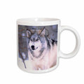 3dRose Timber Wolf, Canis Lupus - NA02 DNO0319 - David Northcott - Mugs (mug_83899)
