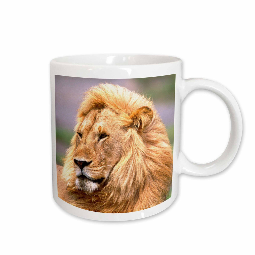 3dRose Male African Lion, Tanzania Africa - NA02 DNO0332 - David Northcott - Mugs (mug_83907)