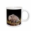 3dRose Virginia Opossum wildlife, Hill Country, Texas - NA02 RNU0819 - Rolf... - Mugs (mug_84634)