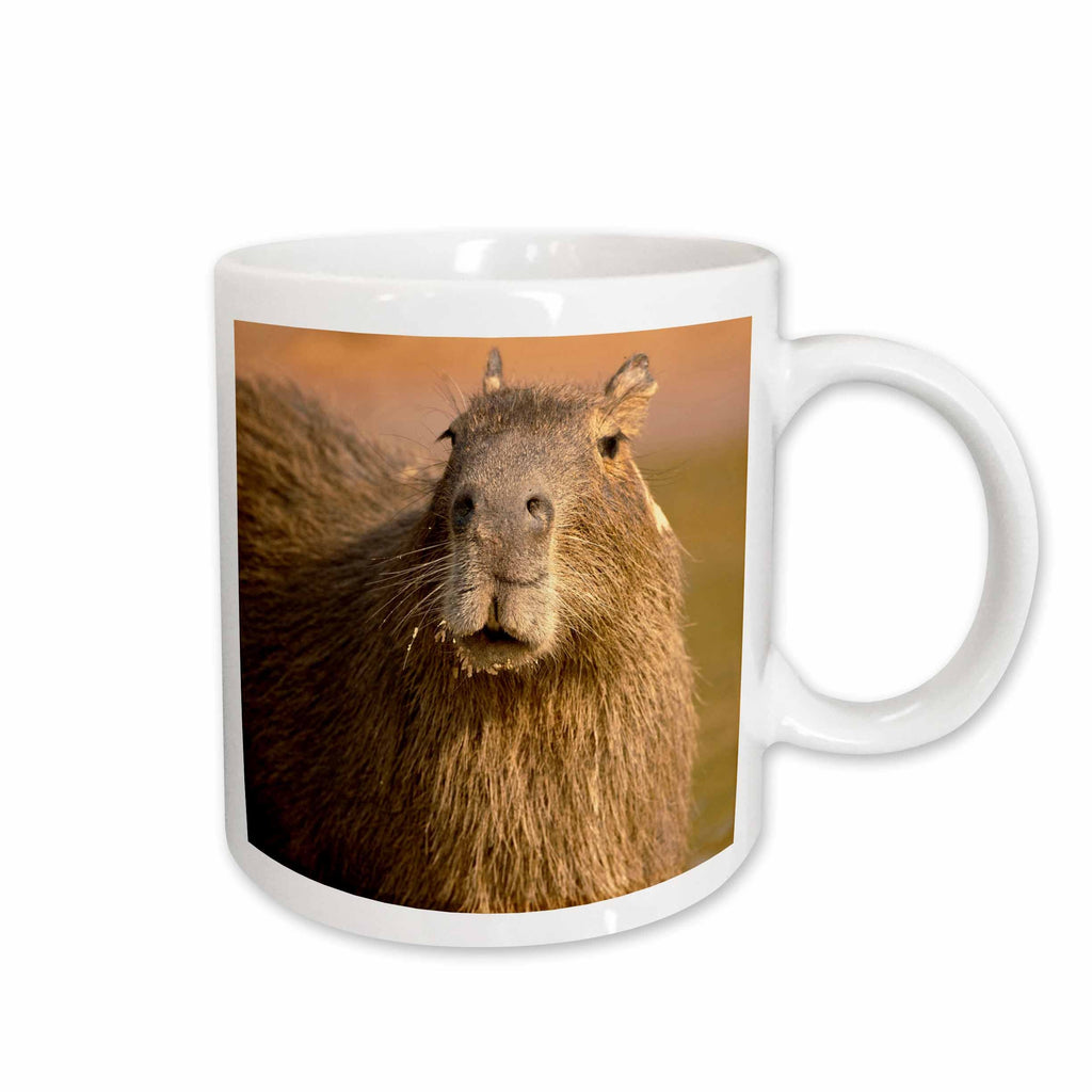 3dRose Brazil, Capybara wildlife in the jungle - SA04 JMC0034 - Joe and Mary Ann. - Mugs (mug_85720)
