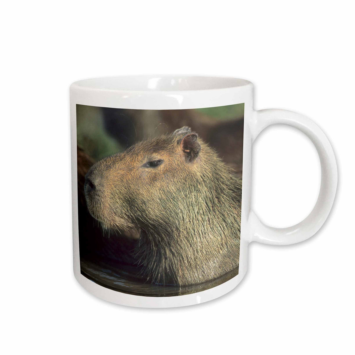 3dRose Capybara wildlife, Llanos, Venezuela - SA20 KSC0009 - Kevin Schafer - Mugs (mug_87130)