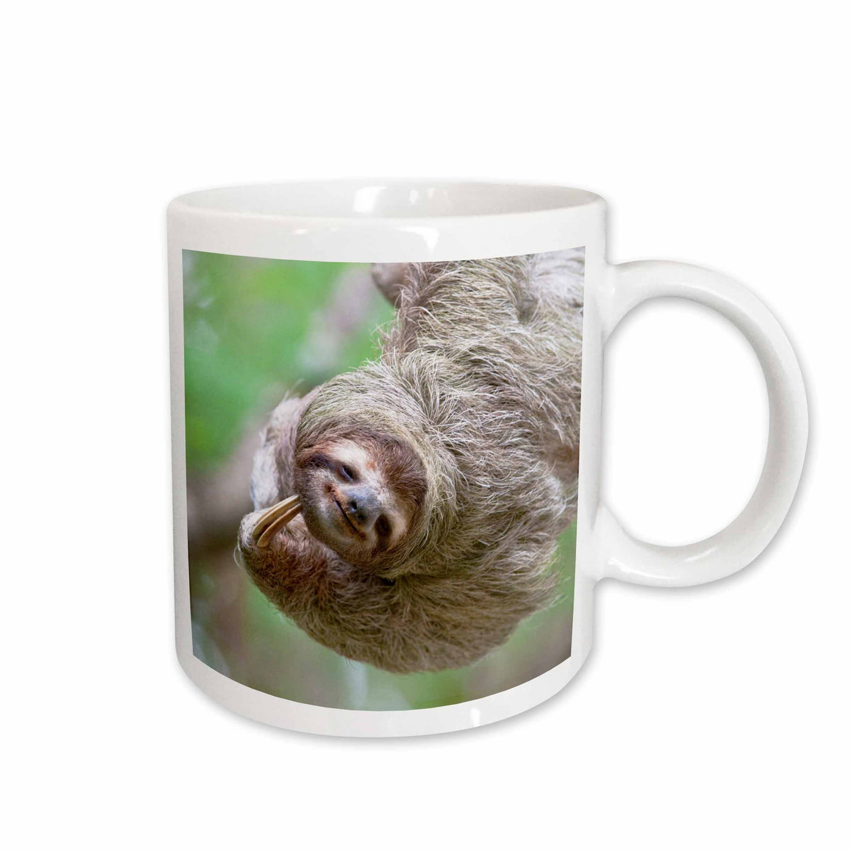 3dRose Brown-Throated Sloth wildlife, Corcovado Costa Rica - SA22 JGS0017 - Jim... - Mugs (mug_87171)