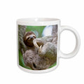 3dRose Brown-Throated Sloth wildlife, Corcovado Costa Rica - SA22 JGS0021 - Jim... - Mugs (mug_87172)
