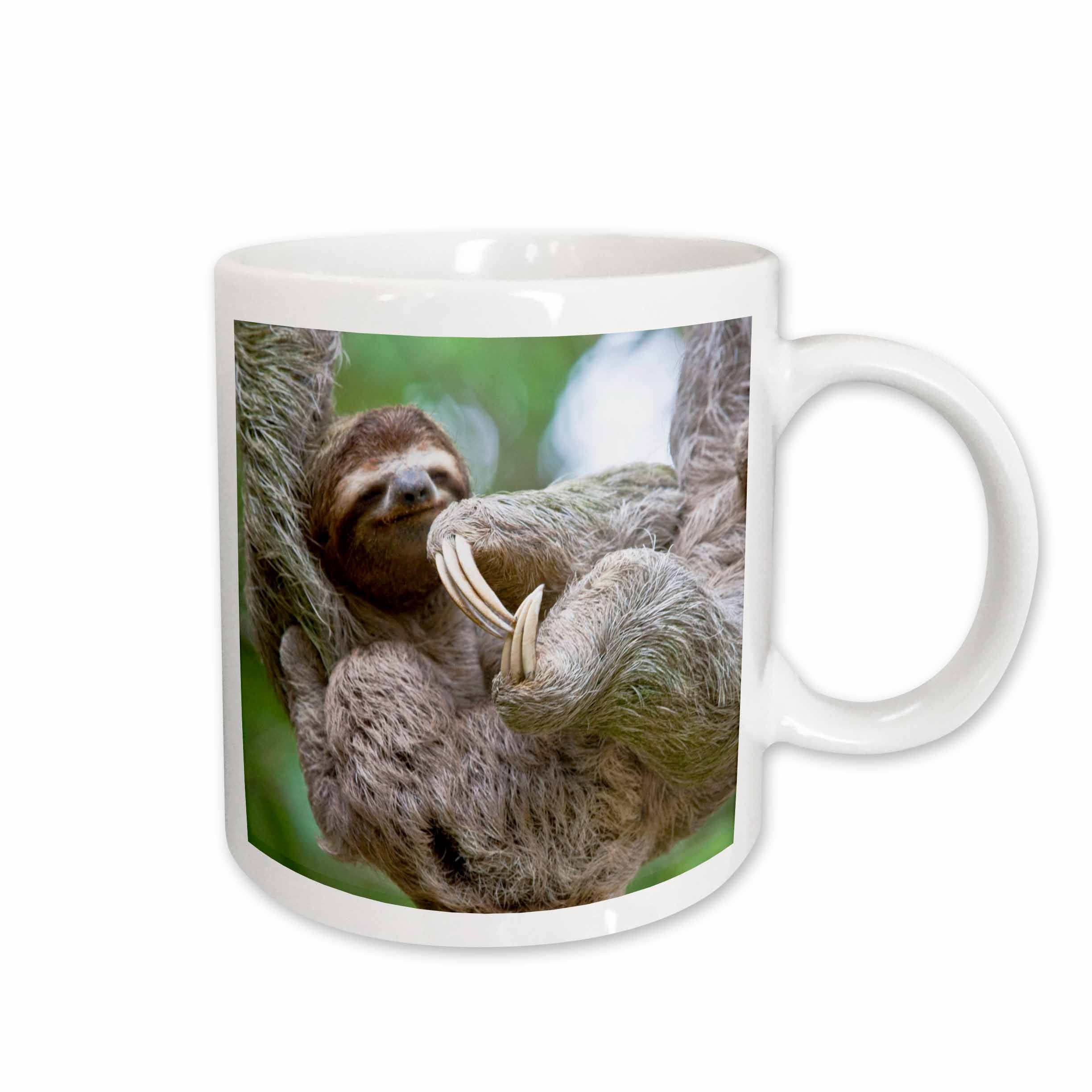 3dRose Brown-Throated Sloth wildlife, Corcovado Costa Rica - SA22 JGS0021 - Jim... - Mugs (mug_87172)