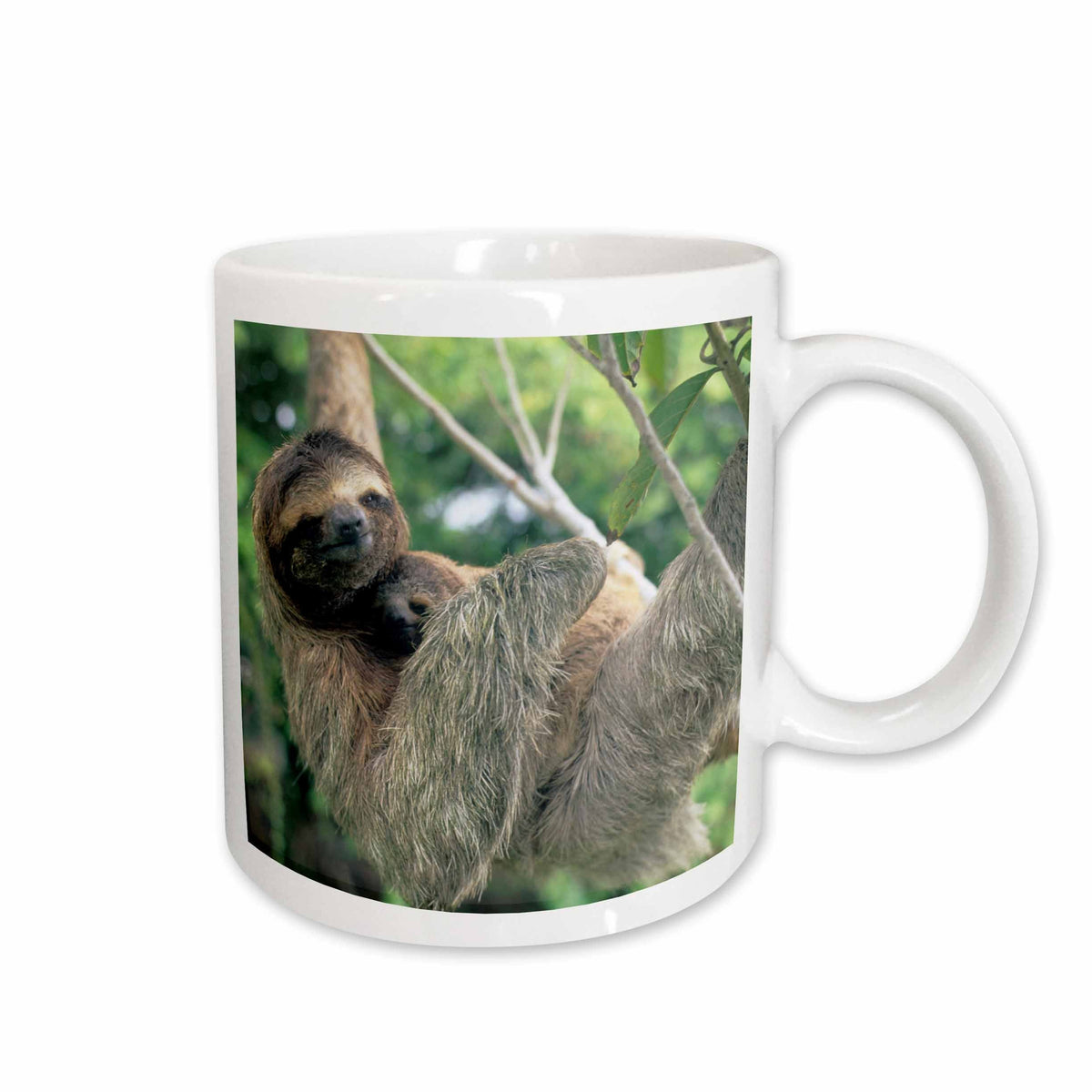 3dRose Three-toed sloth wildlife, Corcovado NP, Costa Rica - SA22 KSC0137 -... - Mugs (mug_87218)