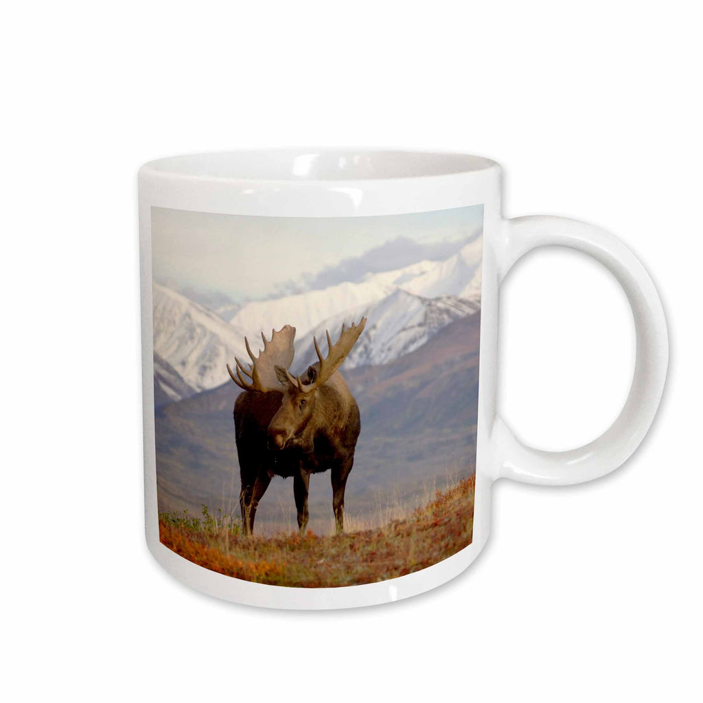 3dRose Moose bull wildlife, Denali National Park, Alaska - US02 SKA3065 - Steve... - Mugs (mug_87701)