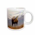 3dRose Moose bull wildlife, Denali National Park, Alaska - US02 SKA3065 - Steve... - Mugs (mug_87701)