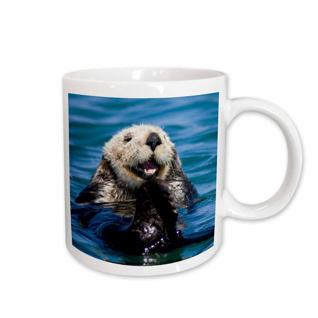 3dRose California Sea Otter, Moss Landing, California - US05 JGS0198 - Jim... - Mugs (mug_88466)