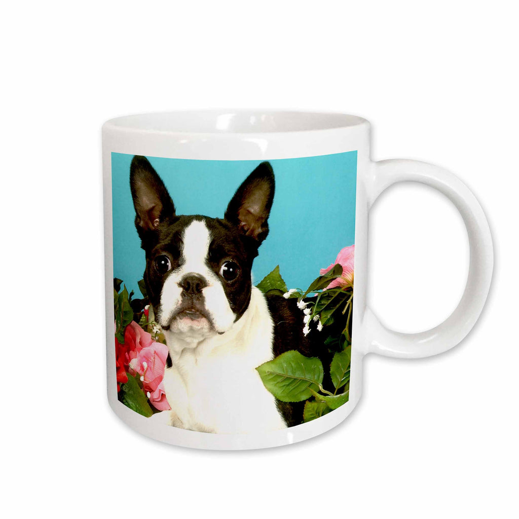 3dRose Dogs Boston Terrier - Emma Boston Terrier - Mugs (mug_893)