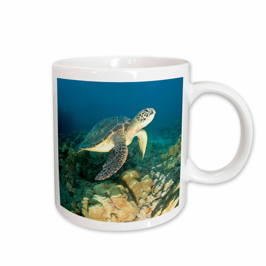 3dRose Green Sea Turtle, Makena SP, Maui, Hawaii - US12 SWS0150 - Stuart... - Mugs (mug_89949)