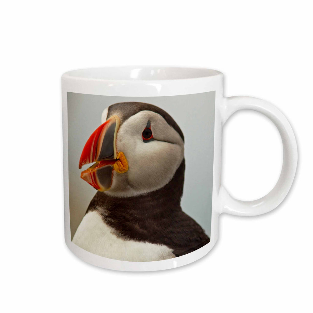 3dRose Atlantic Puffins, Machias Seal Island, Cutler, Maine - US20 CHA0008 -... - Mugs (mug_90617)