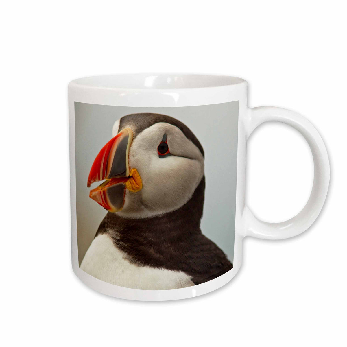 3dRose Atlantic Puffins, Machias Seal Island, Cutler, Maine - US20 CHA0008 -... - Mugs (mug_90617)