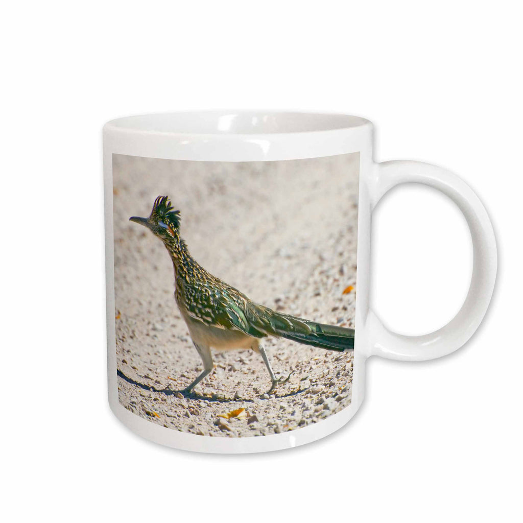 3dRose New Mexico, Bosque del Apache, Roadrunner bird - US32 BJA0086 - Jaynes... - Mugs (mug_92557)