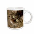 3dRose Maine coon cat, Santa Fe, New Mexico - US32 JMR0448 - Julien McRoberts - Mugs (mug_92674)