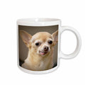 3dRose Toothless Chihuahua Dog, Santa Fe, New Mexico - US32 JMR0502 - Julien... - Mugs (mug_92682)