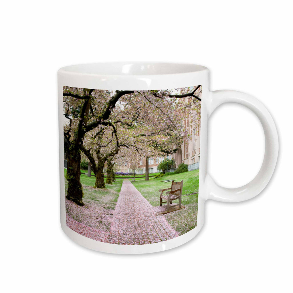 3dRose Seattle, Cherry trees, Univ of Washington, path - US48 JWI1050 - Jamie... - Mugs (mug_95894)