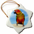 3dRose Birds - Sun Conure - Ornaments (ORN_1011)