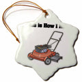 3dRose Dooni Designs Funny and Humorous Designs - This is How I Roll Lawn Mower - Ornaments (ORN_102547)