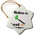 3dRose Dooni Designs I Believe in Designs - I Believe in Leaf Blowers - Ornaments (ORN_105277)