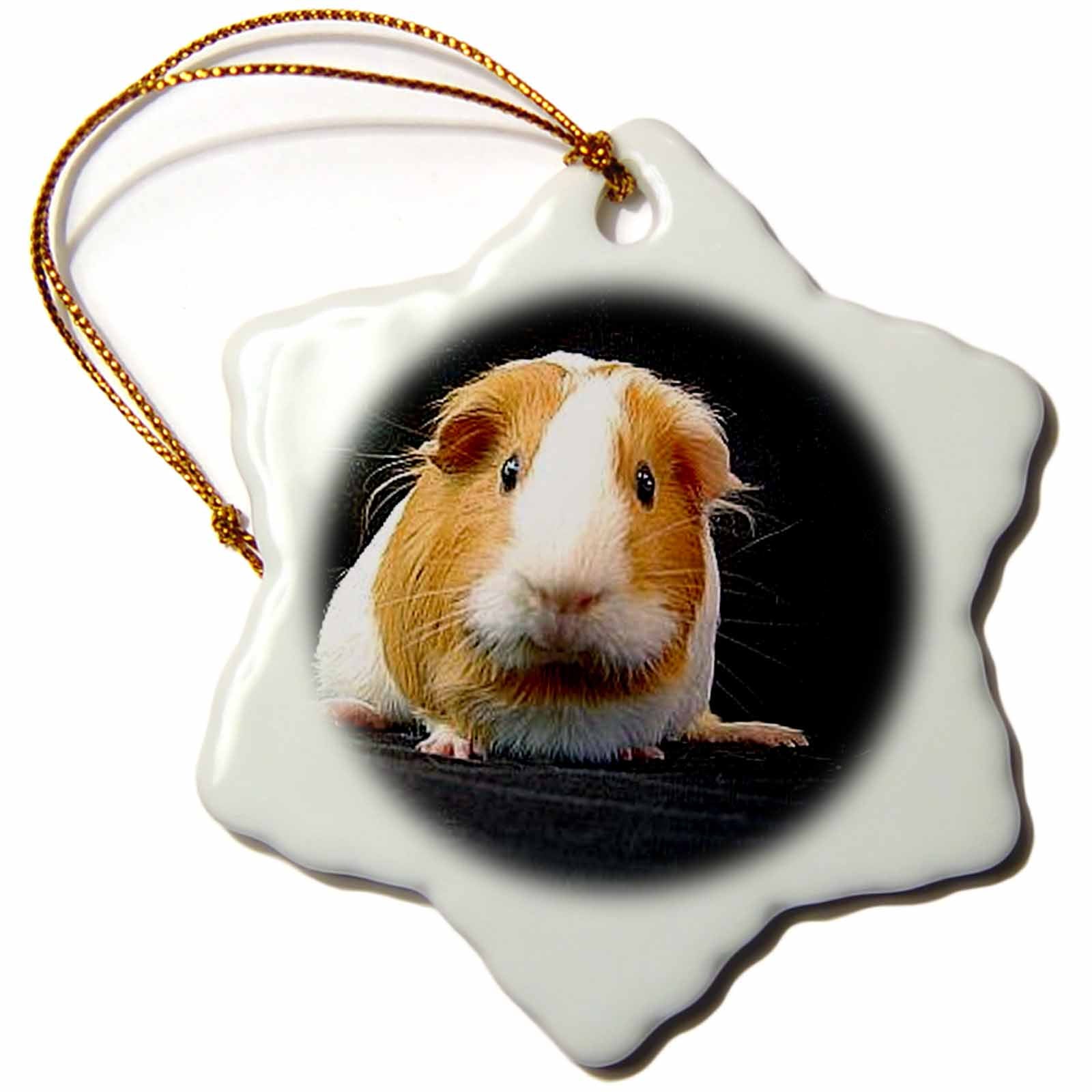 3dRose Guinea Pig - Guinea Pig - Ornaments (ORN_1062)