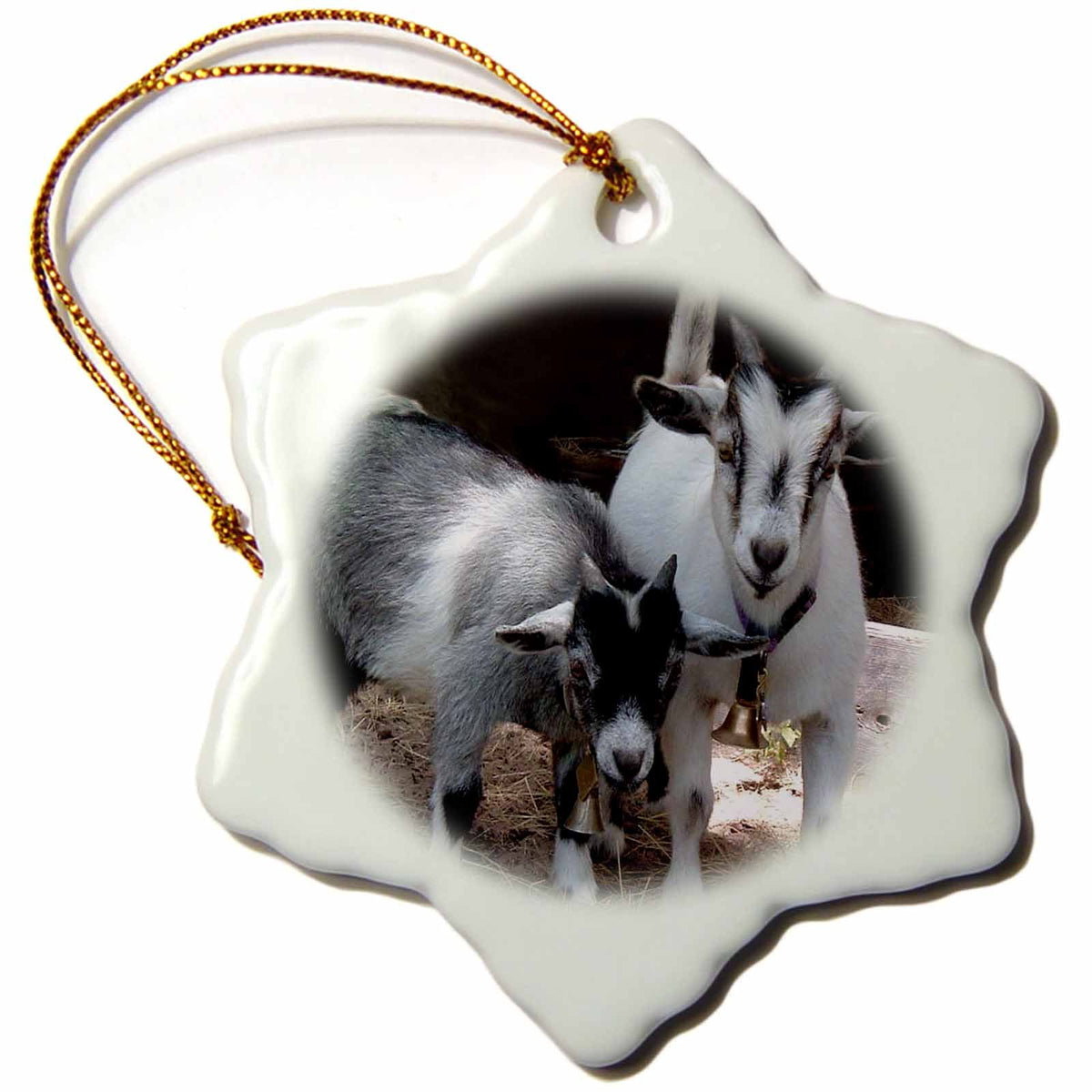 3dRose Farm Animals - Pygmy Goat - Ornaments (ORN_1068)