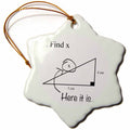 3dRose EvaDane - Funny Cartoons - Find x here it is - Ornaments (ORN_107310)