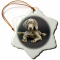 3dRose Dogs Weimaraner - Weimaraner Puppy - Ornaments (ORN_1094)