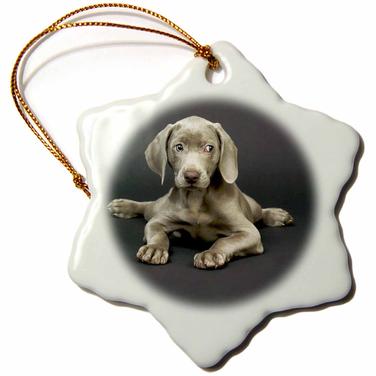 3dRose Dogs Weimaraner - Weimaraner Puppy - Ornaments (ORN_1094)