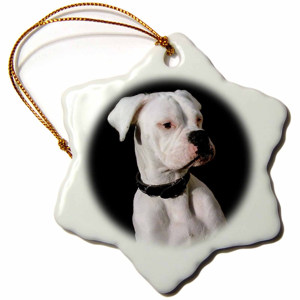 3dRose Dogs Boxer - White Boxer Uncropped Ears - Ornaments (orn_1113)