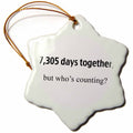 3dRose EvaDane - Happy Anniversary - 7,305 Days Together but Whos Counting - Ornaments (ORN_112211)