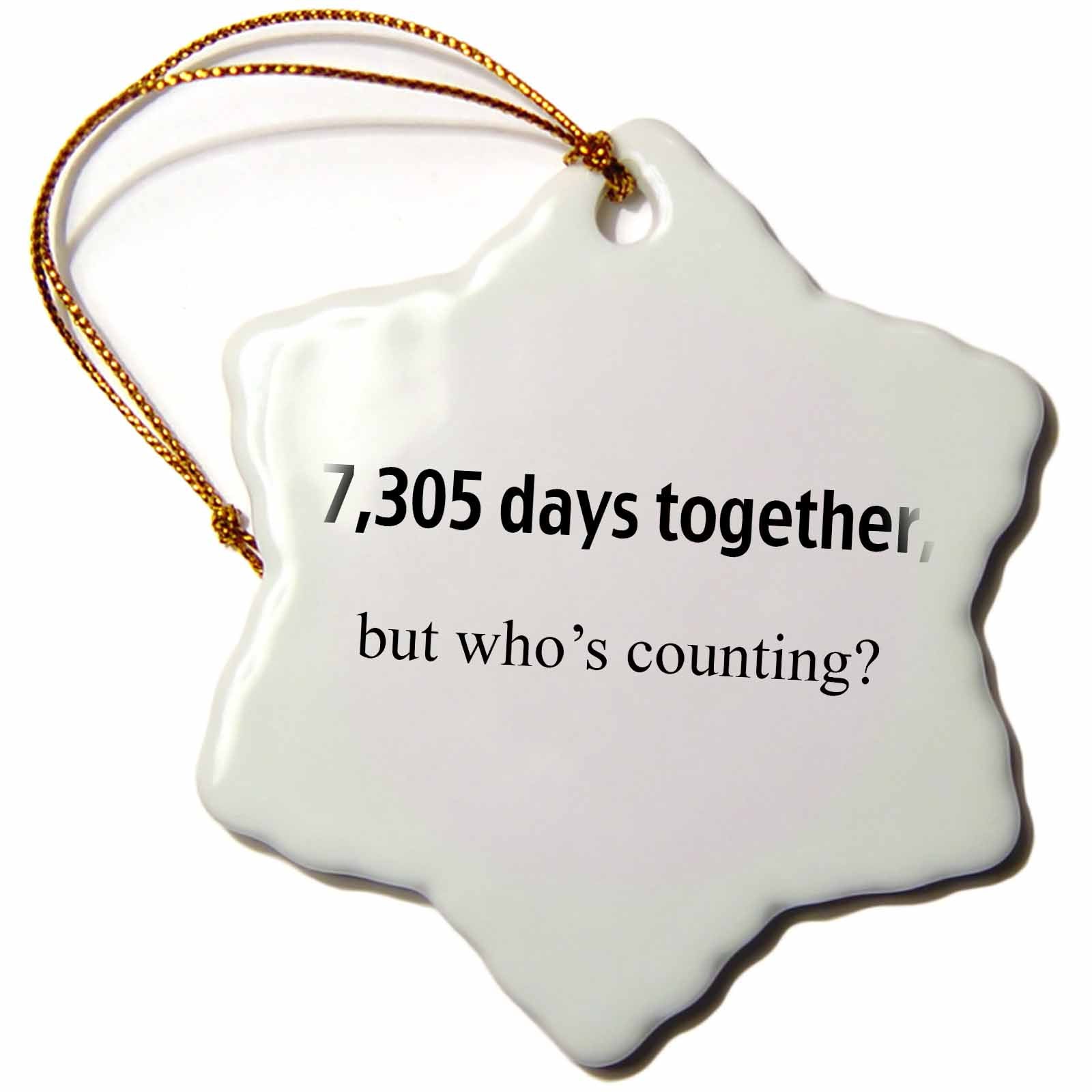 3dRose EvaDane - Happy Anniversary - 7,305 Days Together but Whos Counting - Ornaments (ORN_112211)