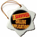 3dRose Dooni Designs Survive Sayings - I Survived College Applications Survial Pride and Humor Design - Ornaments (ORN_117845)