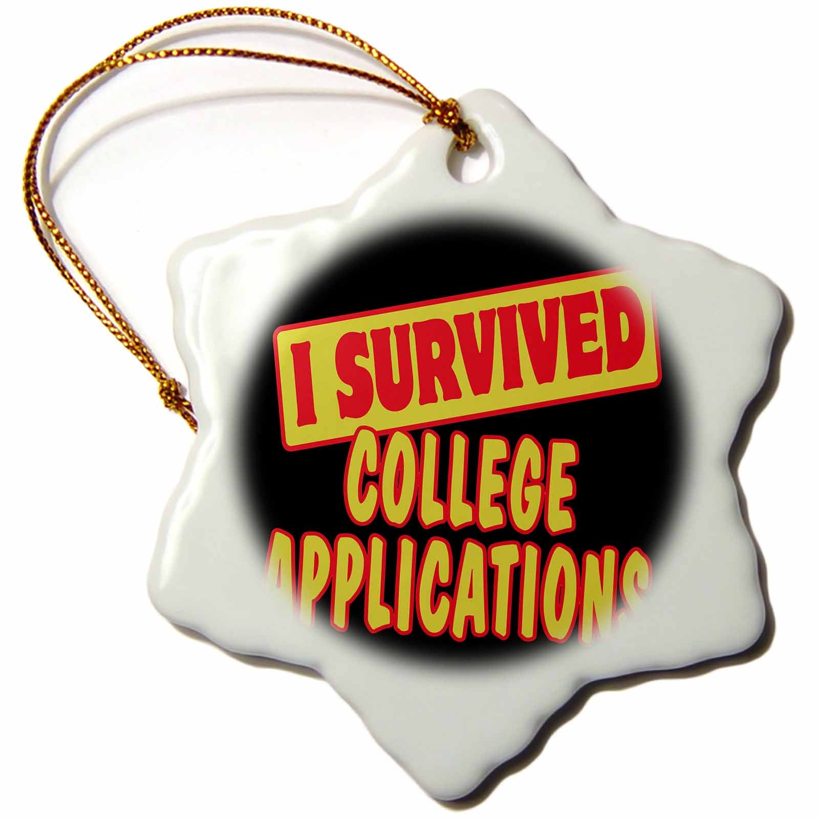 3dRose Dooni Designs Survive Sayings - I Survived College Applications Survial Pride and Humor Design - Ornaments (ORN_117845)