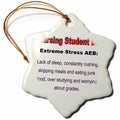 3dRose EvaDane - Funny Quotes - Extreme Stress AEB - Ornaments (ORN_123055)