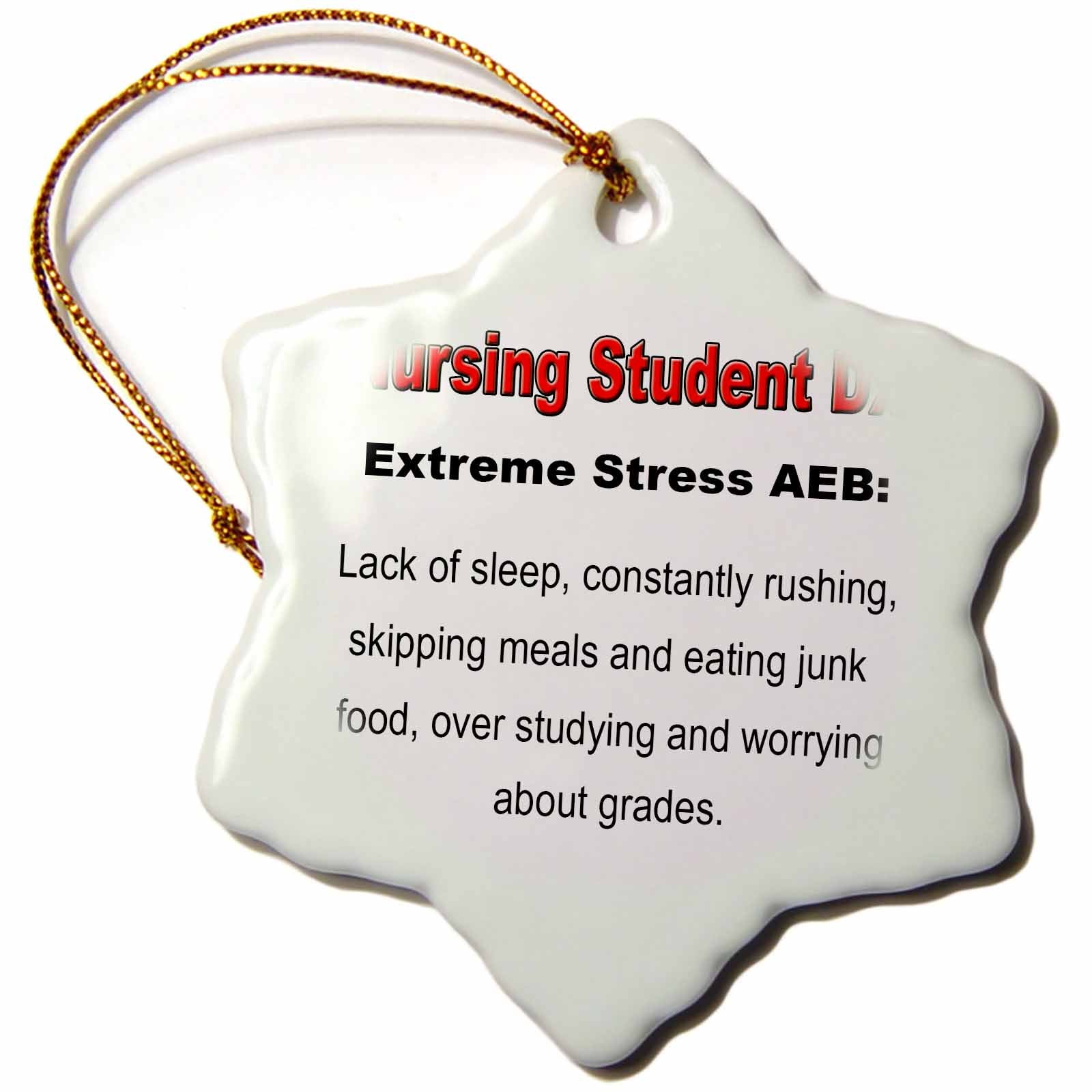 3dRose EvaDane - Funny Quotes - Extreme Stress AEB - Ornaments (ORN_123055)