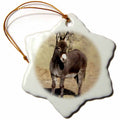 3dRose Farm Animals - Miniature Donkey - Ornaments (ORN_1236)