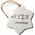3dRose EvaDane - Funny Quotes - I ate sum pi it was delicious - Ornaments (orn_128179)