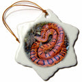 3dRose Snakes - Corn Snake - Ornaments (ORN_1486)