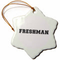 3dRose InspirationzStore Typography - Freshman - high School or College or University Fresher - Preppy Black Text - School Year Souvenir - Ornaments (ORN_151224)