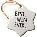 3dRose InspirationzStore Typography - Best Twin Ever - Gifts for Twin Brothers or Sisters - Siblings - Family and Relative Specific Gifts - Ornaments (ORN_151545)