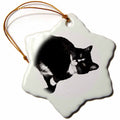 3dRose Susans Zoo Crew Animals Cat - Black and White Cat Looking Up Cutout - Ornaments (ORN_156197)