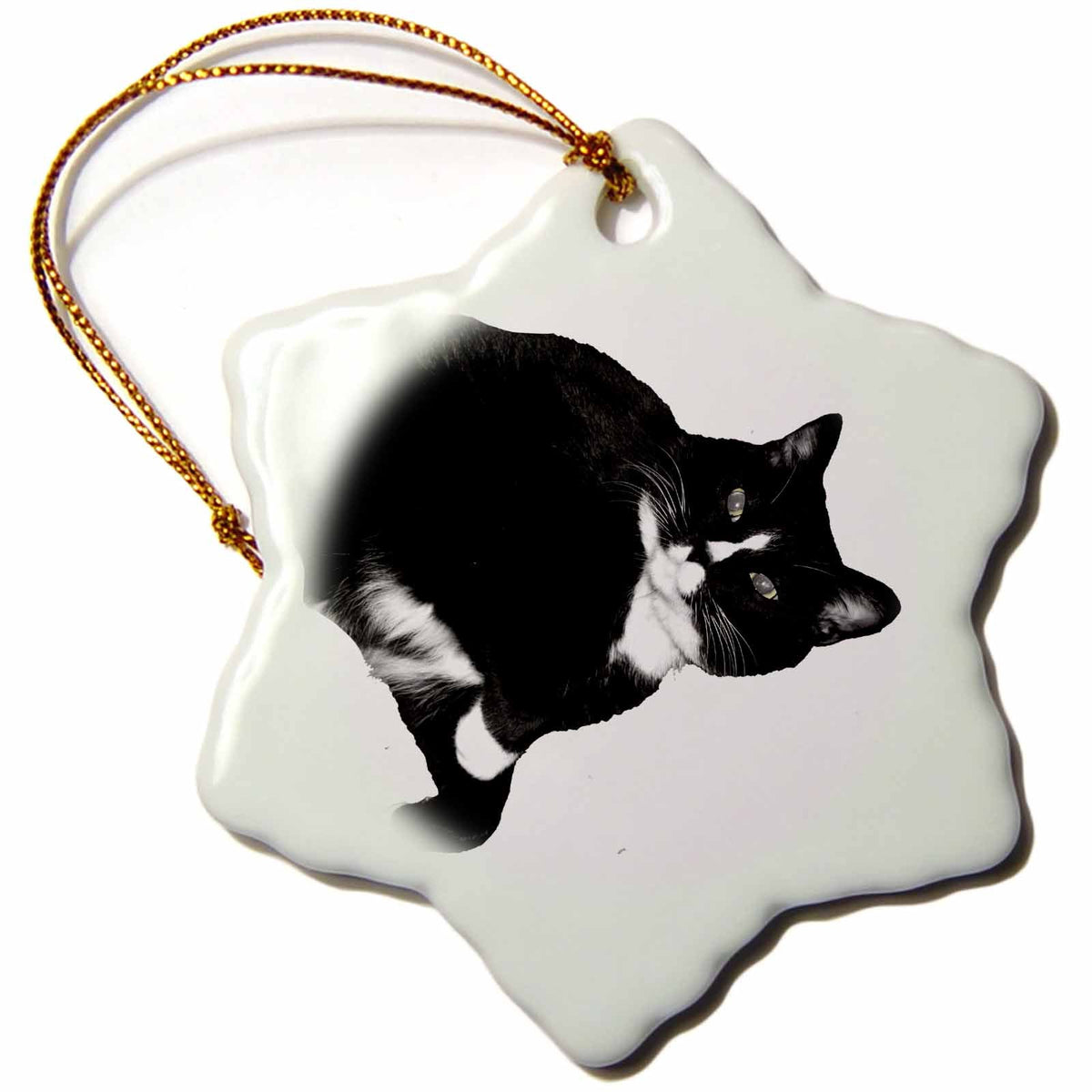 3dRose Susans Zoo Crew Animals Cat - Black and White Cat Looking Up Cutout - Ornaments (ORN_156197)
