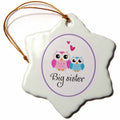 3dRose EvaDane - Quotes - I Love My Big Sister - Ornaments (ORN_157415)