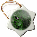 3dRose InspirationzStore Photography - Green Computer chip Macro Photography Microchip - Motherboard Electronics Circuits - tech Geek Nerd - Ornaments (ORN_161561)