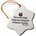 3dRose ToryAnne Collections Quotes - Ohana Means Family. - Ornaments (ORN_163985)