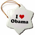 3dRose Mark Andrews ZeGear Liberal - I Love Obama - Ornaments (ORN_16614)