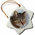 3dRose Taiche Photography Cats - Tabby Cat Portrait - Ornaments (ORN_16934)
