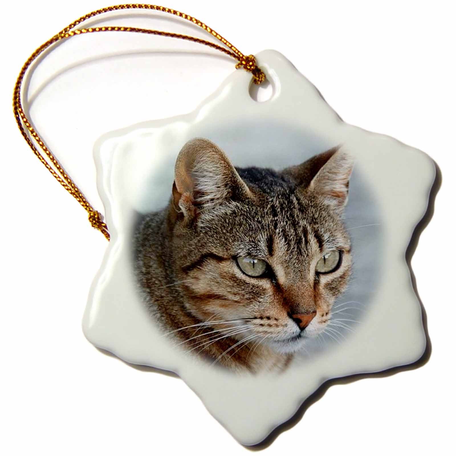 3dRose Taiche Photography Cats - Tabby Cat Portrait - Ornaments (ORN_16934)