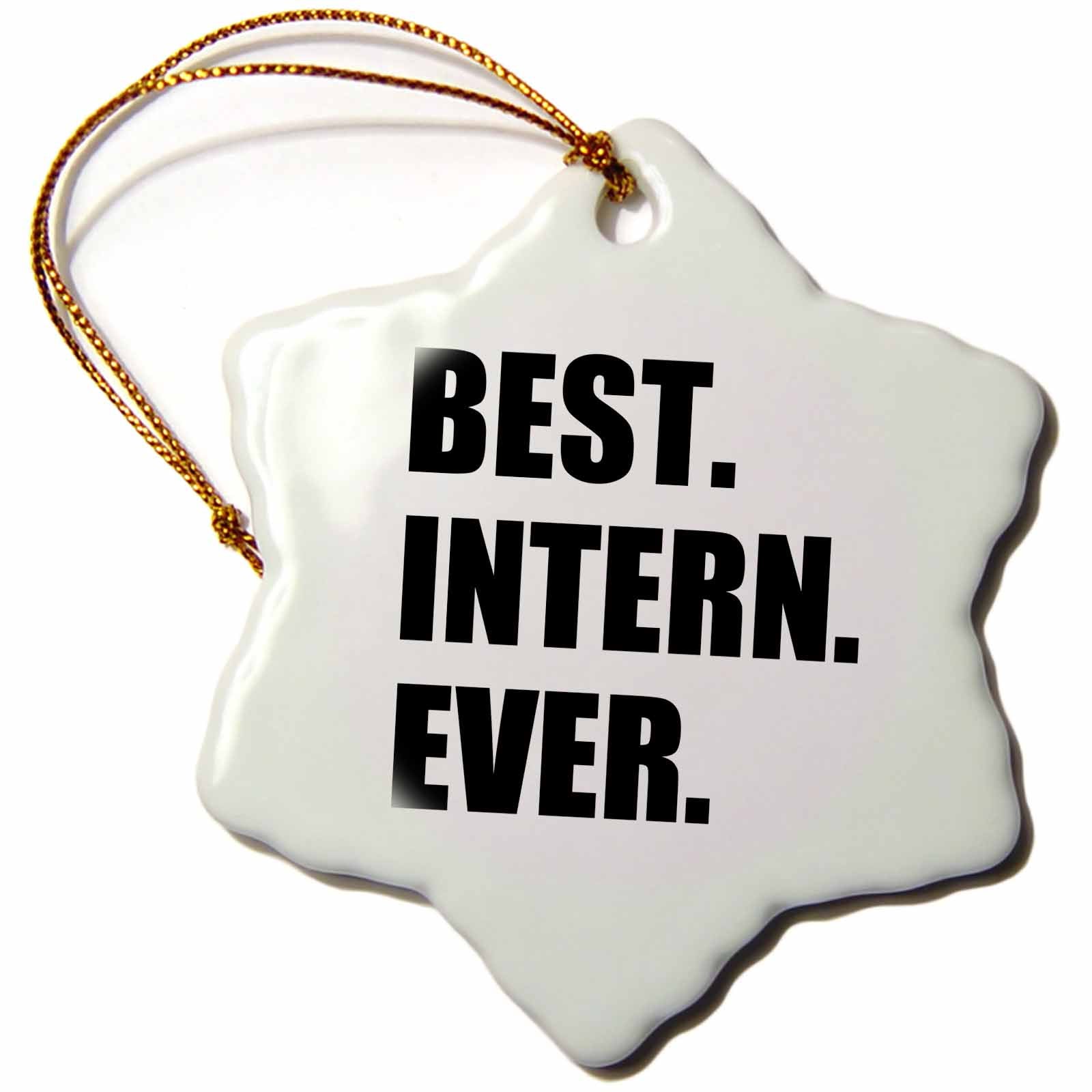 3dRose InspirationzStore Typography - Best Intern Ever - Fun Appreciation Gift for Internship Job - Funny - Ornaments (ORN_185007)